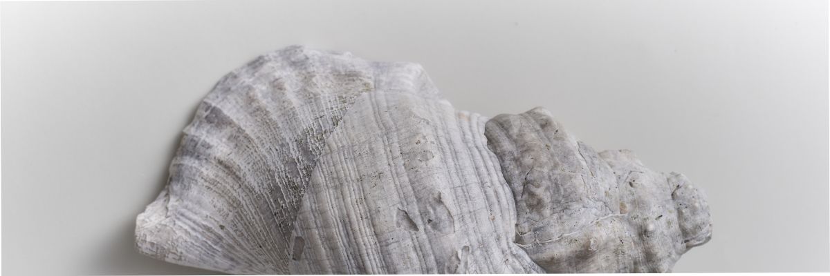 Qalata Christmas Season